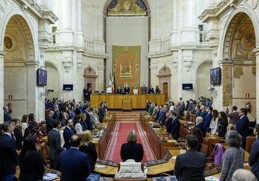 El Parlamento andaluz pisa el acelerador para aprobar una treintena de leyes antes del final de la legislatura
