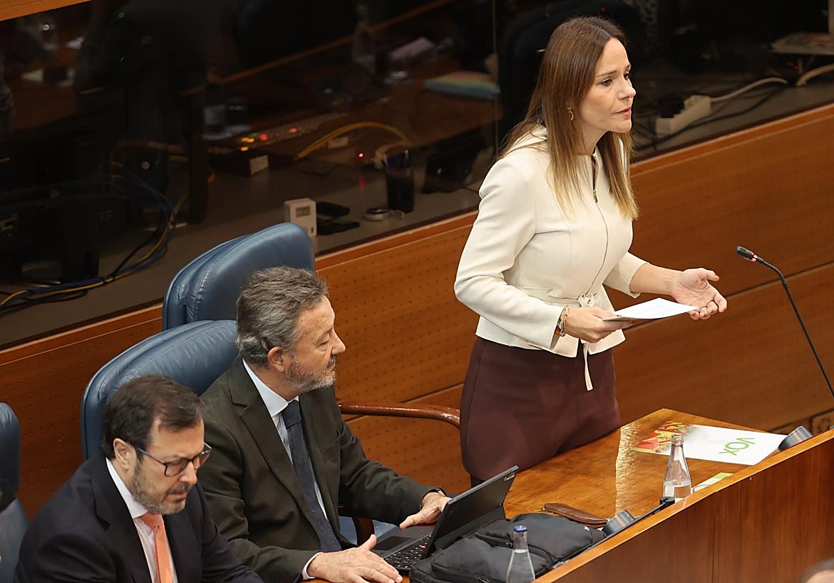 La portavoz de Vox en la Asamblea de Madrid, Isabel Pérez Moñino