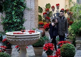 El Palacio de Viana abre sus puertas por Navidad con un ciclo de conciertos: fechas, horarios y dónde comprar entradas