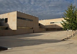 CCOO alerta del aumento «extremadamente grave» de intentos de suicidio en centros educativos de Toledo: seis casos solo en esta semana