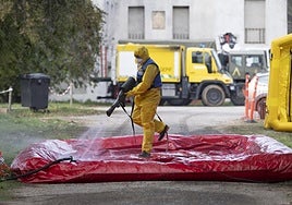 Peste porcina africana: el número de jabalíes infectados asciende a 13