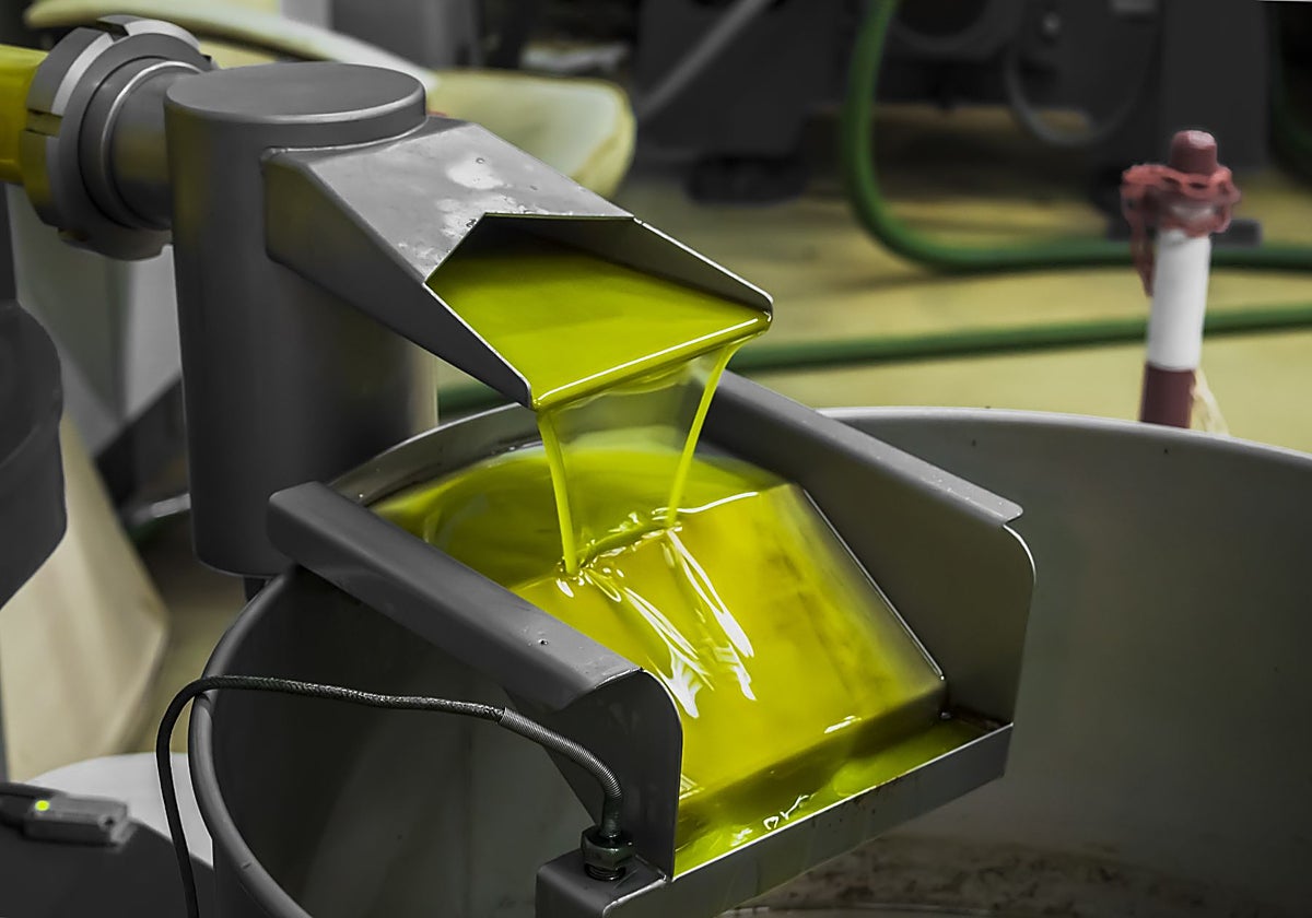 El consejero de Agricultura asegura que la calidad del aceite de esta campaña volverá a ser «excepcional»