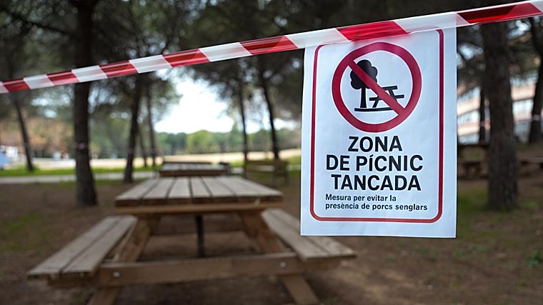 Zona de pícnic, una de las muchas que hay en el parque de Collserola, cerrada por el brote de PPA