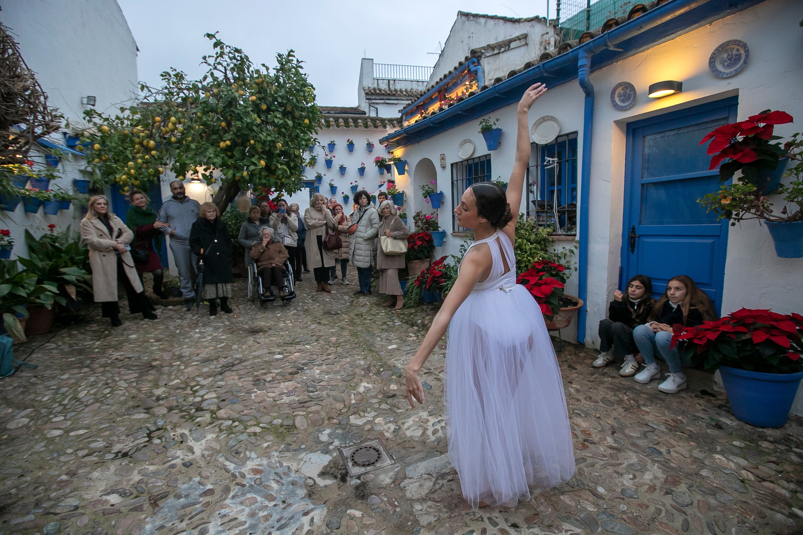 El aire navideño de los patios de Córdoba, en imágenes