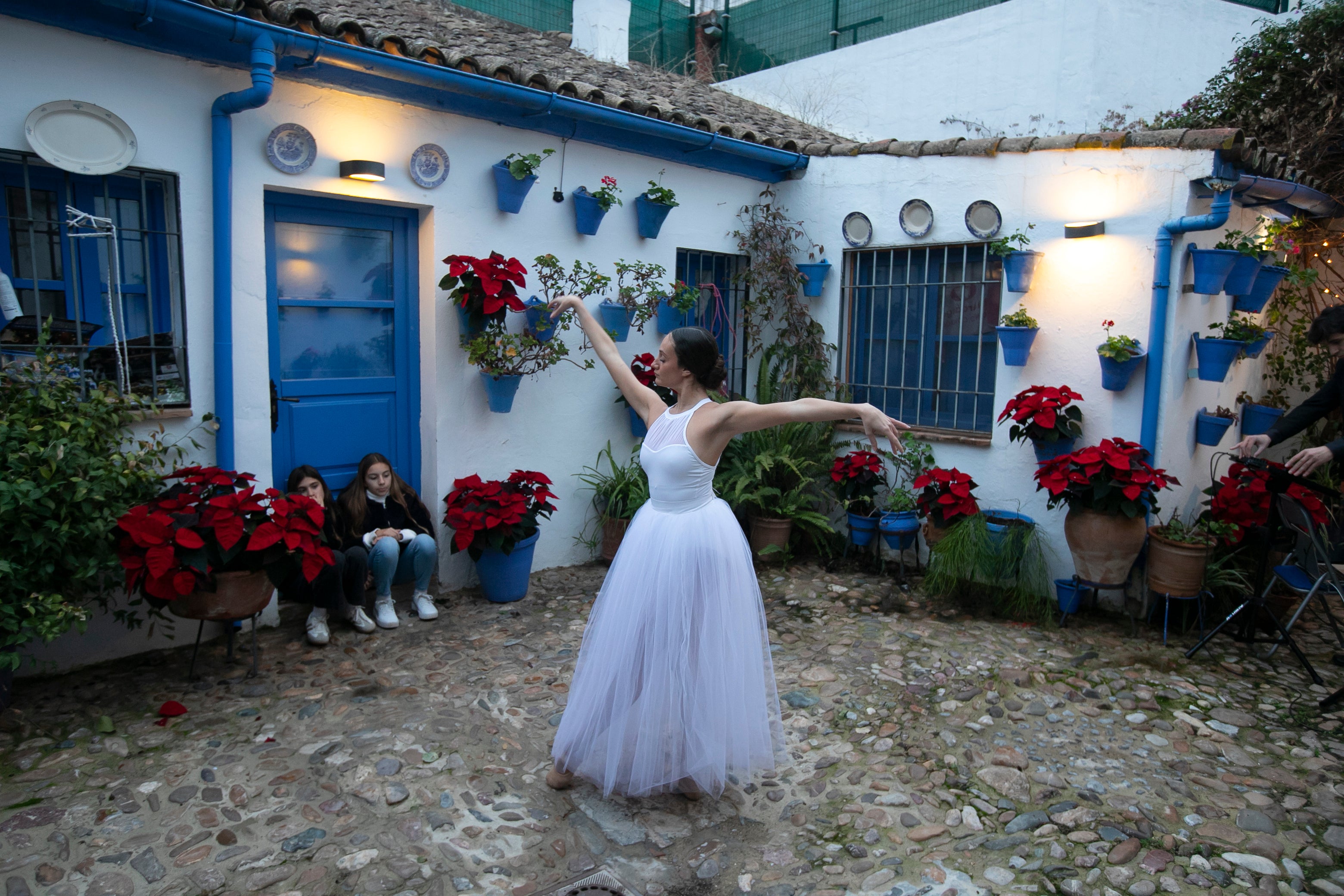 El aire navideño de los patios de Córdoba, en imágenes