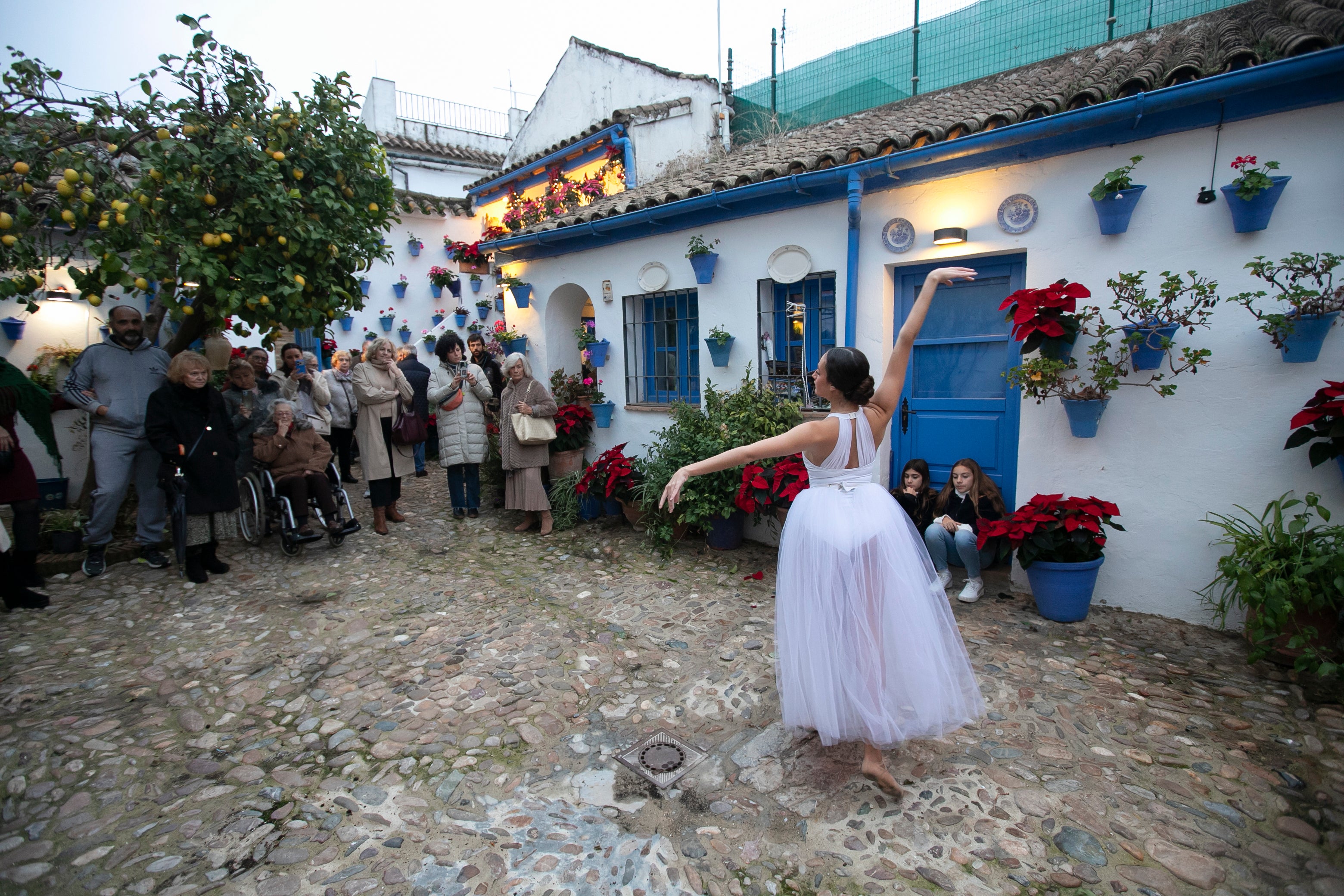 El aire navideño de los patios de Córdoba, en imágenes