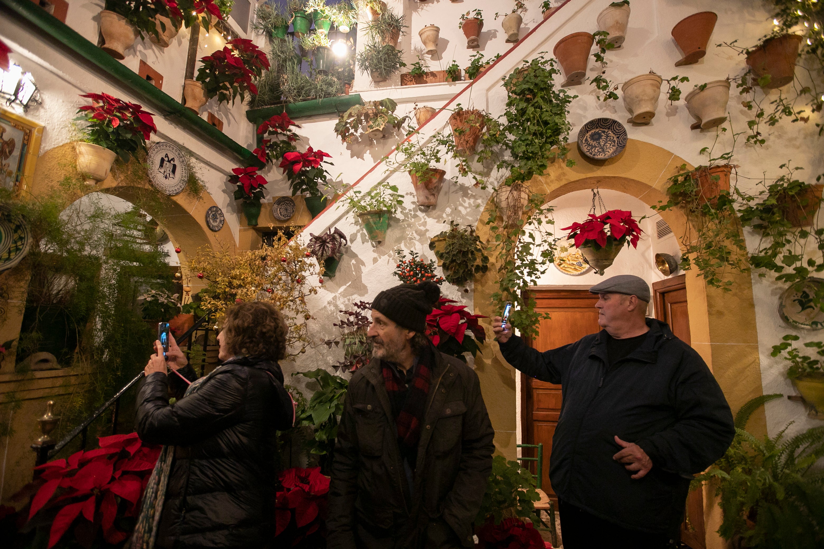 El aire navideño de los patios de Córdoba, en imágenes