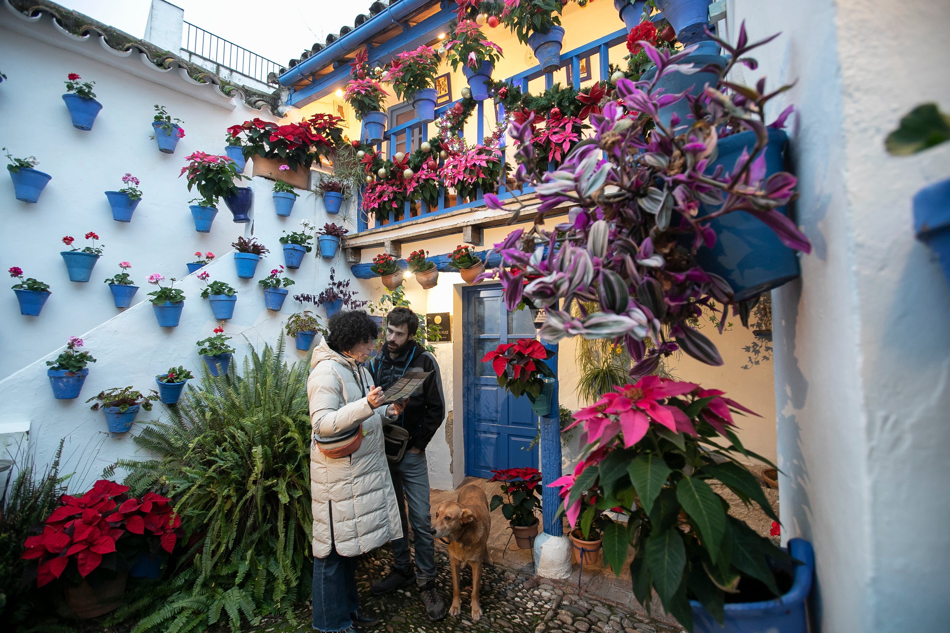 El aire navideño de los patios de Córdoba, en imágenes