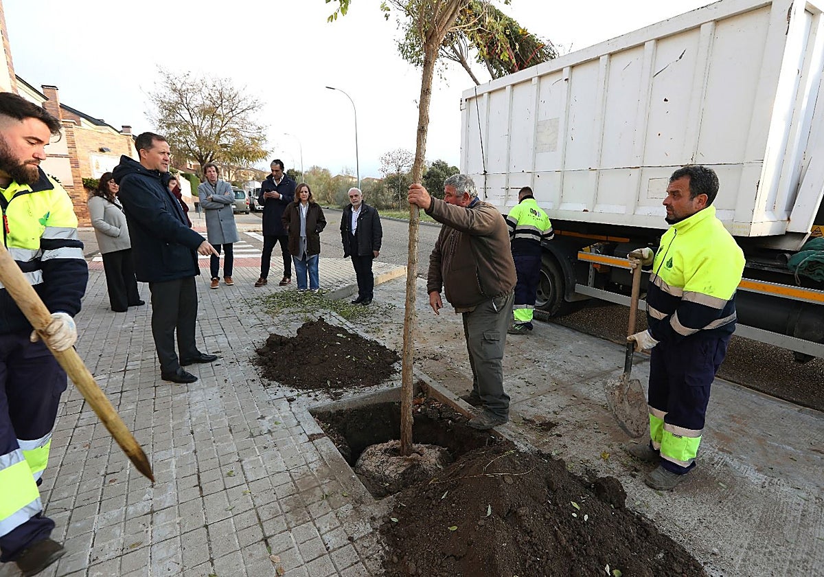 El alcalde de Toledo, Carlos Velázquez, ha supervisado los trabajos de plantación