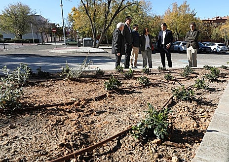 Imagen secundaria 1 - En esta campaña -que desarrolla de noviembre a abril- se van a plantar más de 2.000 árboles