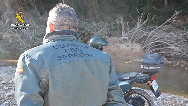 Detenido un furtivo denunciado por los cazadores por abatir un macho montés en Valencia