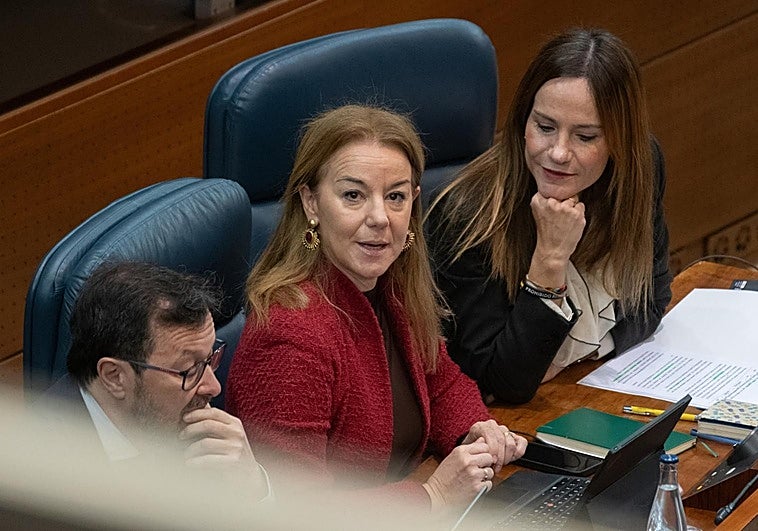 Las mil enmiendas de Vox a las cuentas de Ayuso: entre la «prioridad nacional» y el «billete de vuelta» para inmigrantes