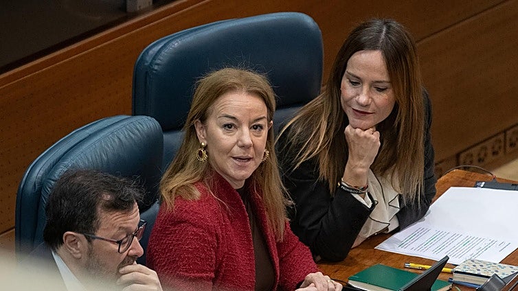 Las mil enmiendas de Vox a las cuentas de Ayuso: entre la «prioridad nacional» y el «billete de vuelta» para inmigrantes