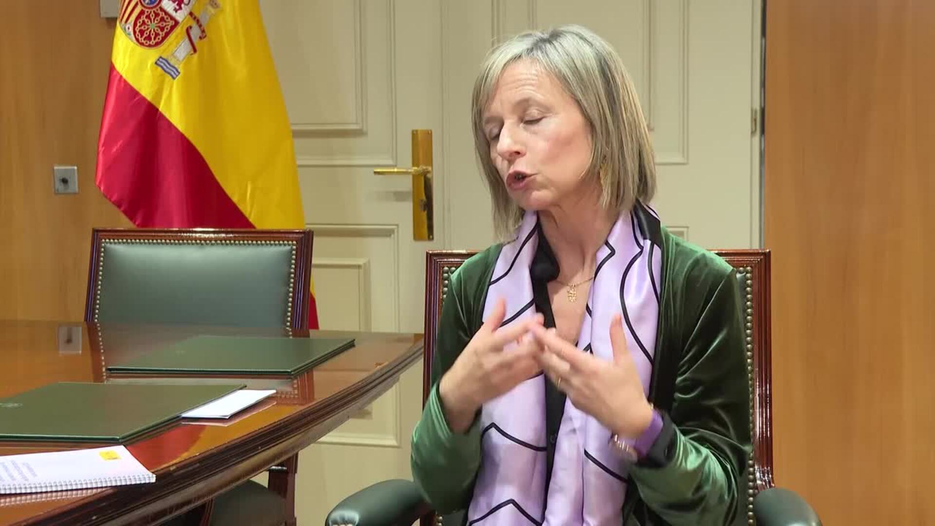 Observatorio contra la Violencia de Género: &quot;No toda la protección pivota sobre la pulsera&quot;