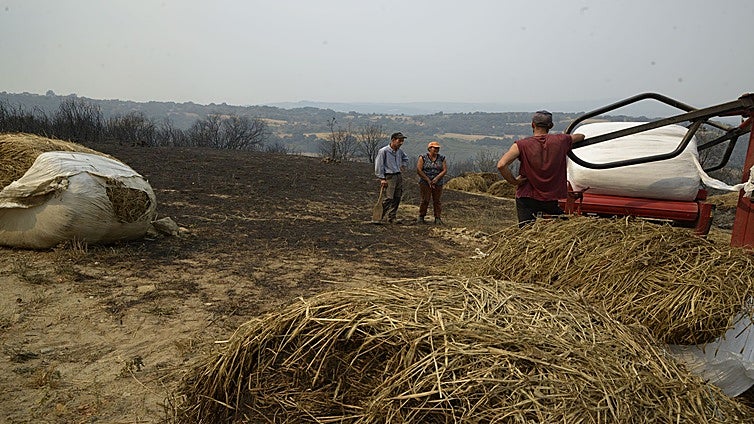La Xunta recuerda a los concellos la obligación de tener planes de actuación contra incendios