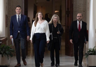 Las Cortes piden al Tribunal de Cuentas que fiscalice la fundación de Vox con el sí de PP y PSOE