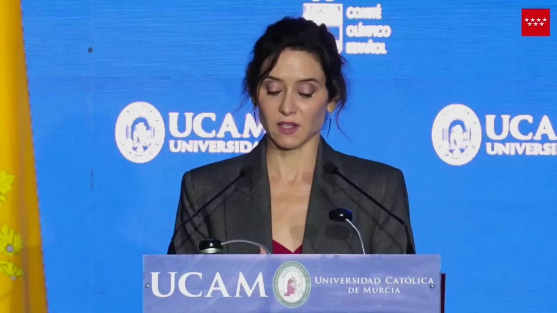 Ayuso dice que la &quot;durísima&quot; sentencia al fiscal &quot;haría caer a plomo&quot; a cualquier gobierno