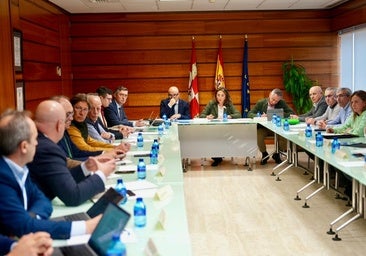 Los ganaderos ya notan un «impacto elevado» por la porcina: 30 euros menos por cerdo producido