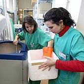 Dos sanitarias del SAS