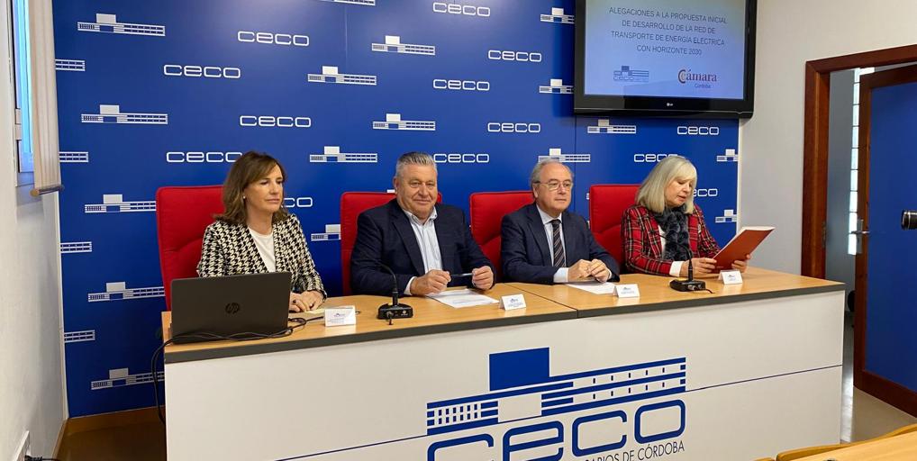 CECO presenta alegaciones a la red eléctrica 2026-2030 del Gobierno para que «no se perpetúe la brecha territorial» en Córdoba