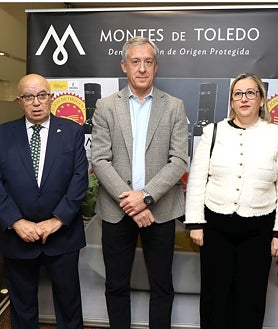 Imagen secundaria 2 - La DO Montes de Toledo espera una campaña de aceite con una calidad «impresionante» y más de 116.000 toneladas