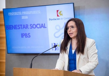 La Diputación aumenta el presupuesto del área de Bienestar Social para 2026 hasta alcanzar los 120 millones