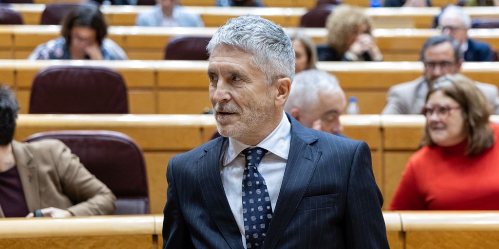 Marlaska tendrá que restituir al comisario que cesó por una condena de acoso sexual de 2003