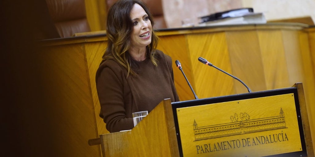 La Ley de Vivienda de Andalucía entrará en vigor el 24 de enero