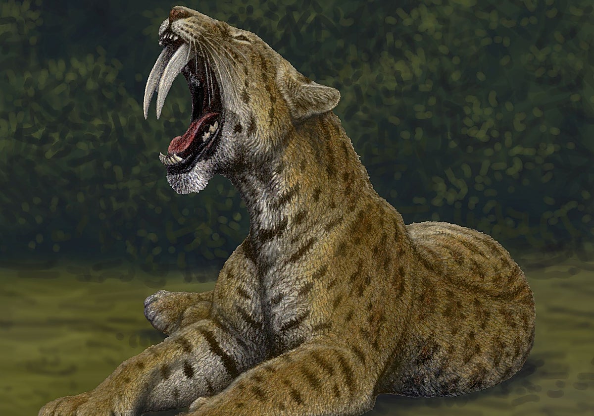 Momento del 'Viaje al amor brujo' del Ballet Español de la Comunidad de Madrid