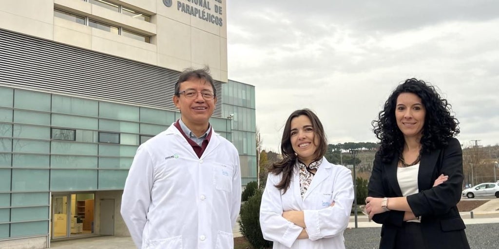 Parapléjicos desarrolla un tratamiento pionero para reparar la médula y busca inversores para su aplicación clínica