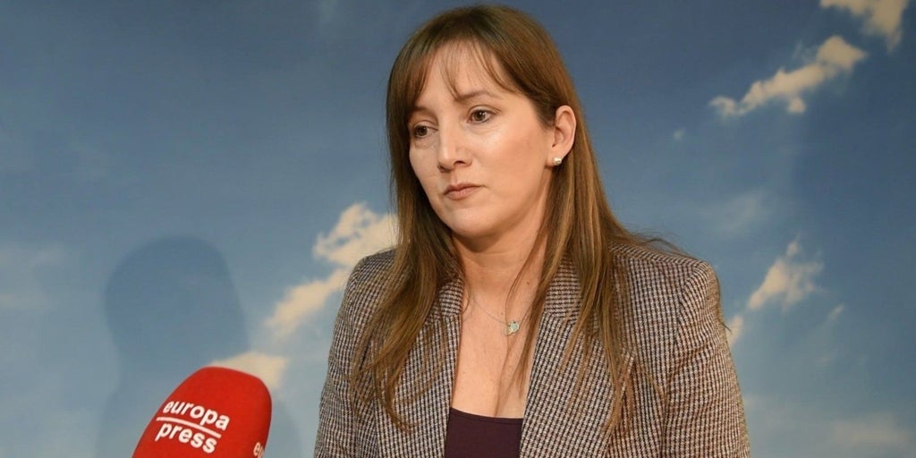 Andicoberry (PP) acusa a Page de «falso frentismo» ante Sánchez: «Son el mismo socialismo de promesas incumplidas»