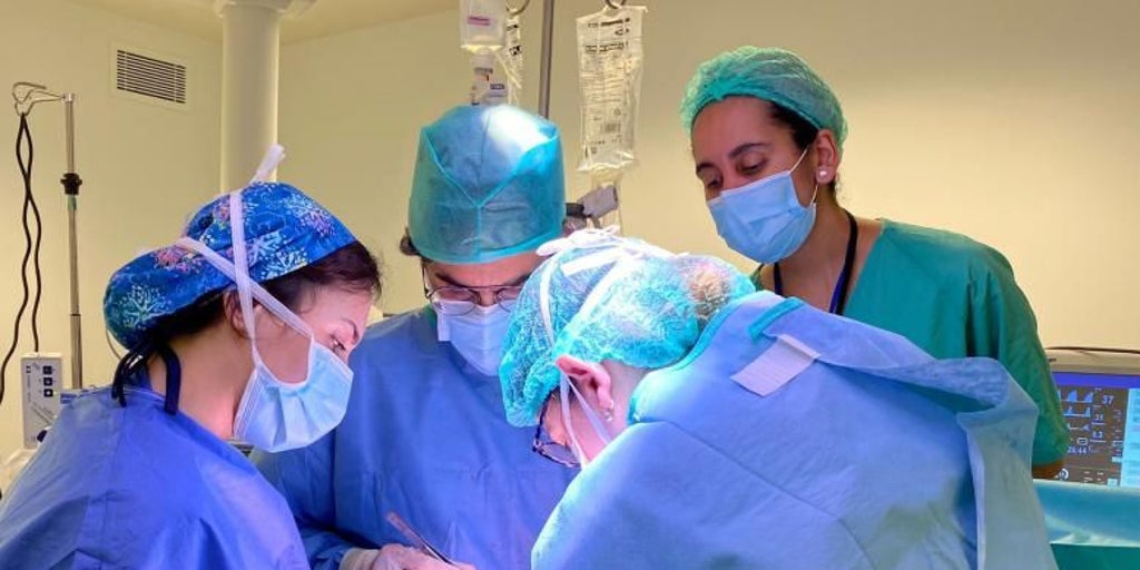 Galicia bate su récord de donaciones: 429 trasplantes y 143 donantes