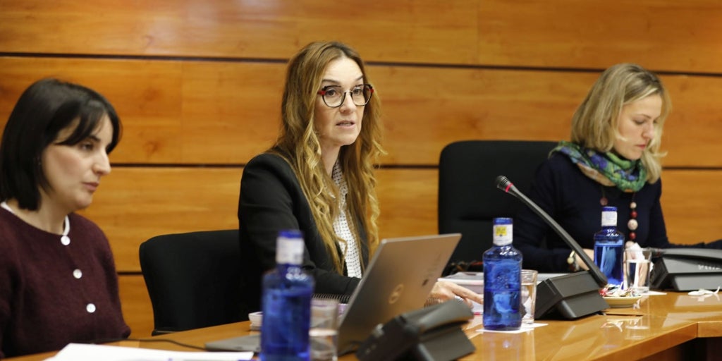 Castilla-La Mancha concedió 683.500 euros en ayudas a mujeres víctimas de violencia de género y a sus hijos en 2024