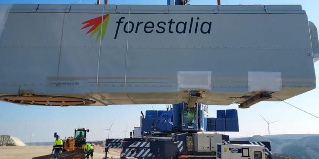 Red Eléctrica autorizó el megaproyecto de Forestalia aunque no podía por exclusividad