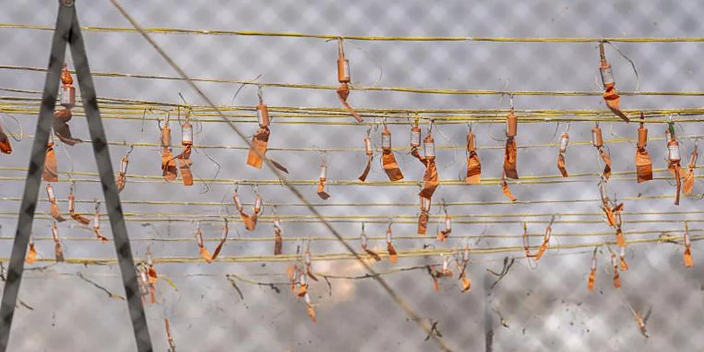 Valencia suspende la mascletá de San Vicente Mártir este jueves 22 de enero