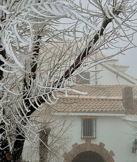 Imagem Secundária 2 – Algumas imagens enviadas nas redes sociais do Santuário da Virgem da Serra na madrugada deste sábado.