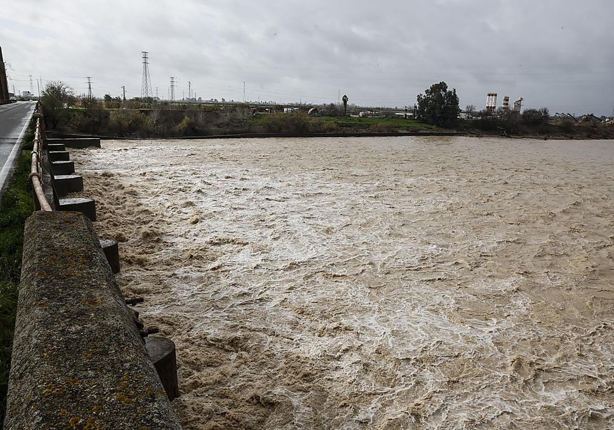 Vista del río Guadalquivir a su paso por la presa de Cantillana en Sevilla el pasado martes 27 de enero | EFE. 
