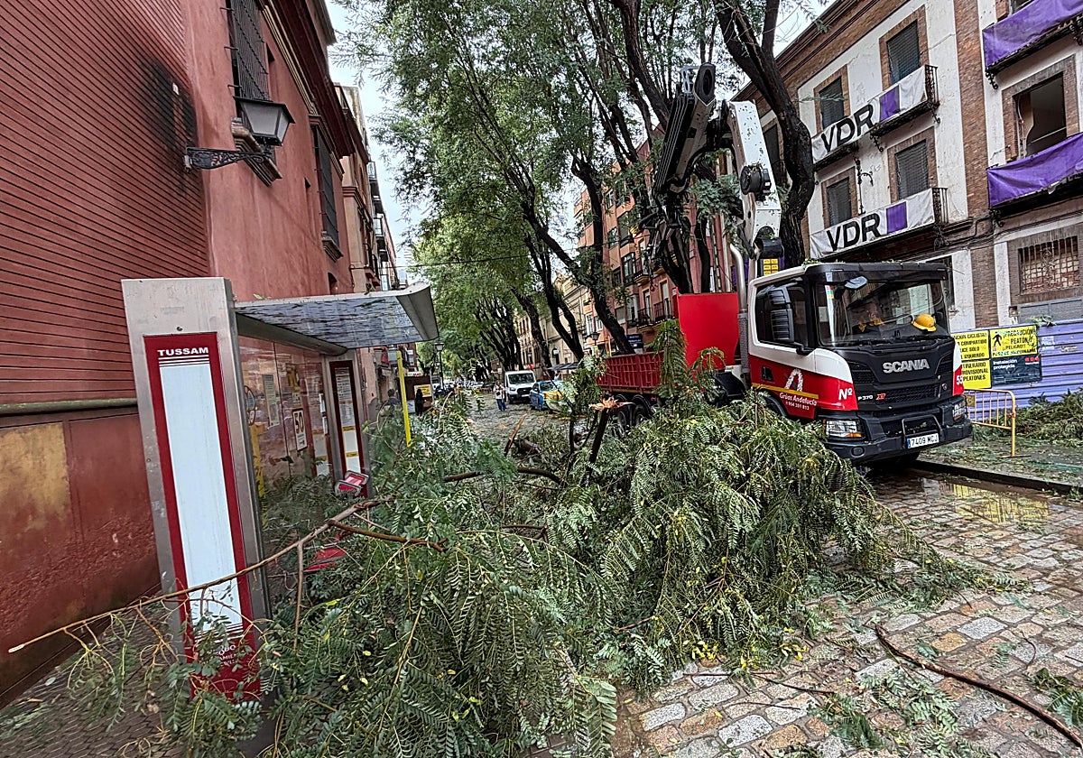 Juan de Dios del Pino, delegado territorial de la Aemet en Andalucía: «La  tendencia es que entre otra borrasca a partir del domingo pero no se sabe  su intensidad»