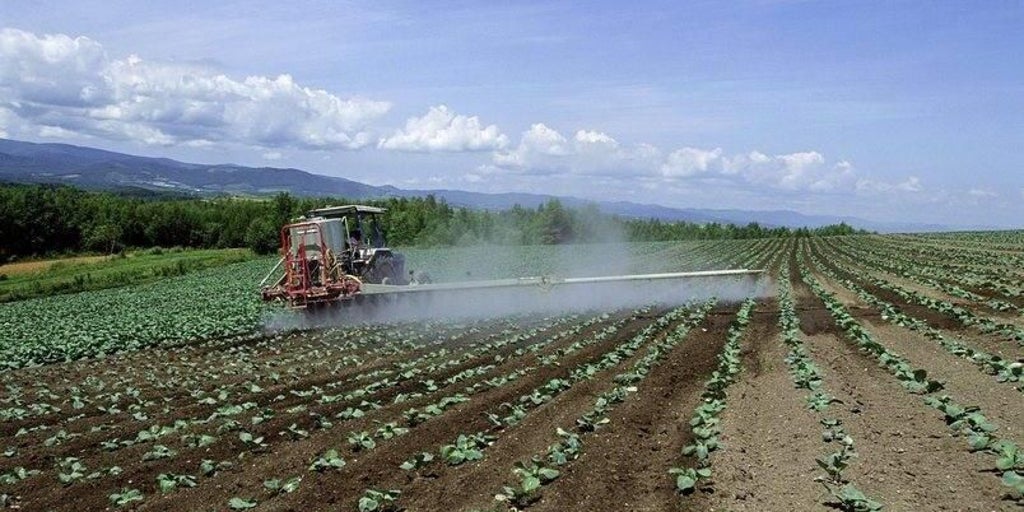 La Junta presentará alegaciones a la planificación hidrológica