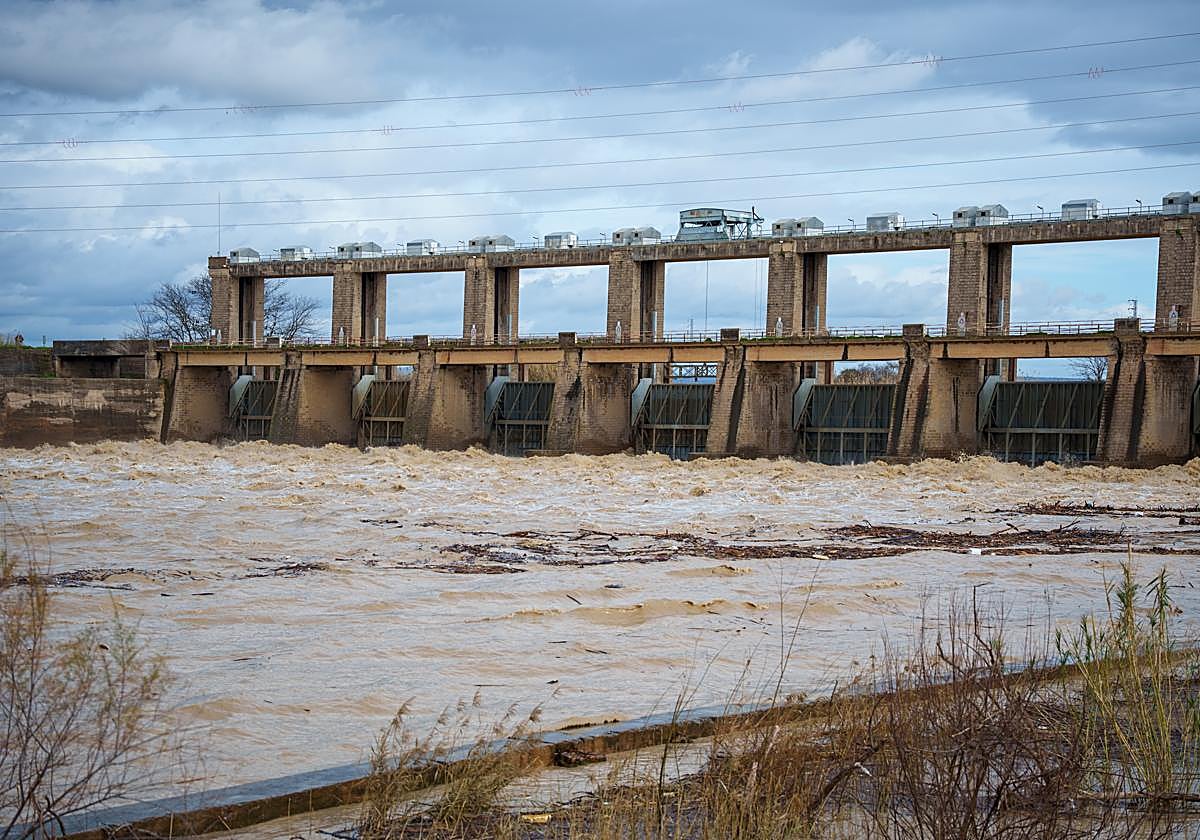 Alerta en Sevilla y Andalucía por fuertes lluvias, en directo: última hora de la borrasca Leonardo, inundaciones, cortes de carreteras, desalojos y avisos de la Aemet