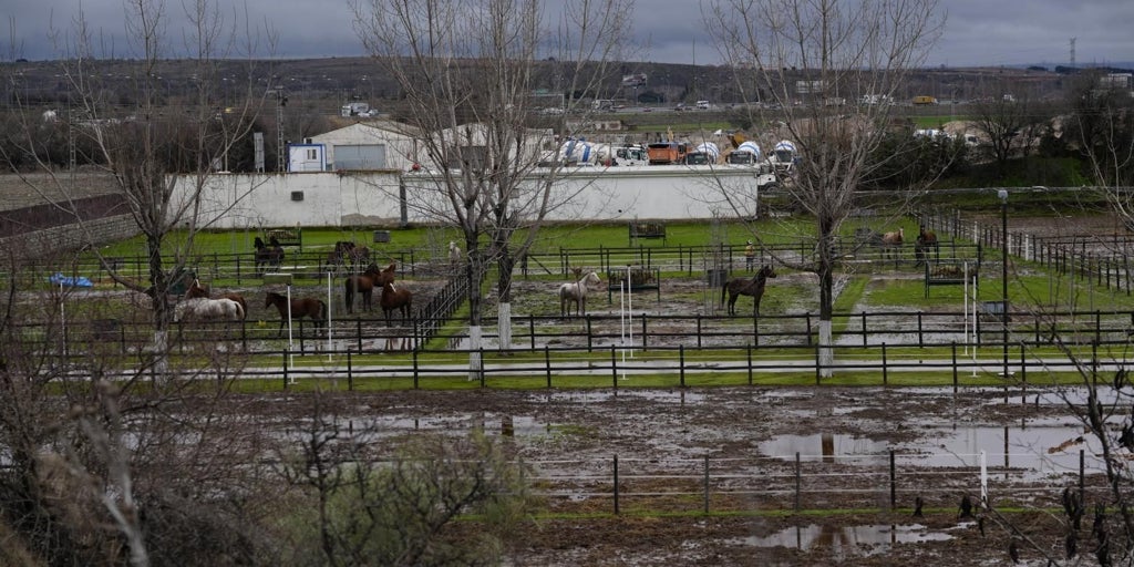 Las lluvias dan la puntilla al campo madrileño: «Este año pinta muy mal»