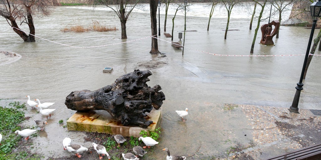 La crecida del Tajo en Toledo amenaza el Museo de Escultura al Aire Libre