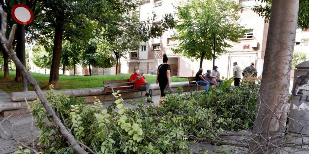 Cataluña pide evitar la «movilidad no necesaria» y recomienda teletrabajar ante la previsión de fuertes vientos