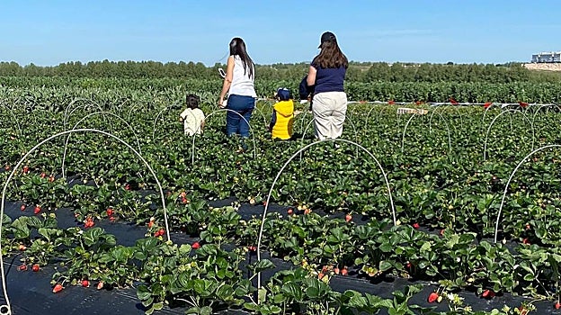Visitas a Huerta de Aranjuez