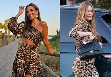 Paula Echevarría y Sofía Vergara dicen sí al 'animal print' en verano, ¿te atreves o es demasiado?