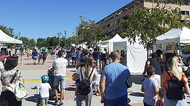 Agenda para el fin de semana en Madrid: 10 planes gratuitos