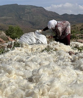 Imagen secundaria 2 - El tinte se hace con henna. La esquila y el cardado, también son manuales.