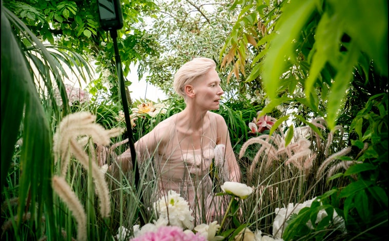 Hauptbild – Tilda Swinton (oben), Venus Williams (Mitte) und Gwendoline Christie (unten) bei den Fotoshootings für den Pirelli-Kalender 2026