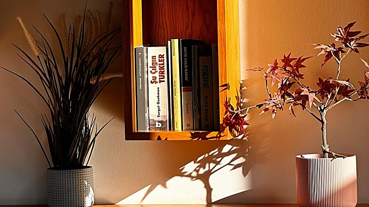 Cantinho decorado com plantas e livros