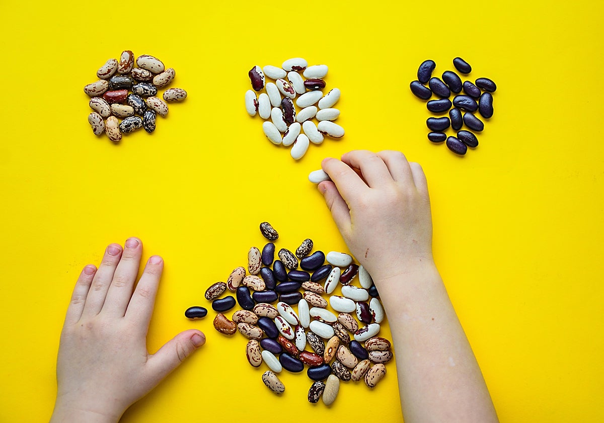 Los garbanzos, judías blancas, lentejas y los guisantes son las legumbres más consumidas
